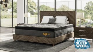 Nolah Evolution 15 Mattress