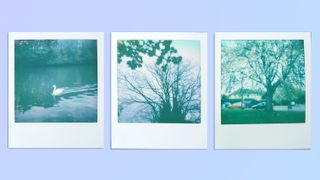 A compilation of scanned film photos taken on a Polaroid Go Gen 2 instant camera