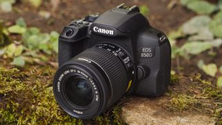 De bedste DSLR for begyndere - Canon EOS 850D står på en sten i skovbunden