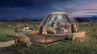 Artist's rendering of numbered sheep in a field surrounding a sleep pod