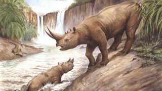 arsinotherium and calf