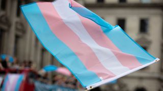 Waving a transgender flag during a gay pride march.