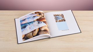 Shutterfly Photo Book displaying three fish on some pebbles