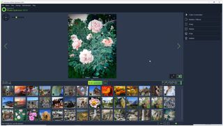 Ashampoo Photo Optimizer 2019