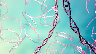 Computer illustration of plasmids, meaning small, circular, double stranded DNA molecules 