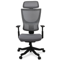 Flexispot BS8 Ergonomic Office Chair: was £300£220 at AmazonSave £80