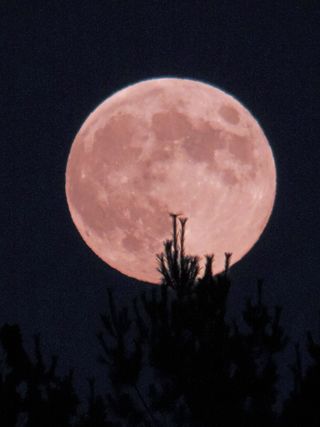 Full Harvest Moon of September 2014 Over West Virginia