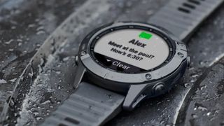 Garmin Fenix 6