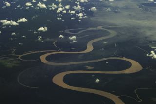 Amazon river