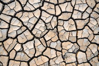 Dried, cracked mud making geometric patterns