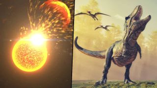 Composite of a simulation of an enormous solar flare and coronal mass ejection (CME) blasting out of the sun and an artist's interpretation of what Tyrannosaurus rex may have looked like.