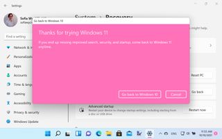 A windows in Windows 11 giving you the option to downgrade to Windows 10