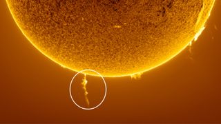 A large plume of plasma stick out from the sun's south pole