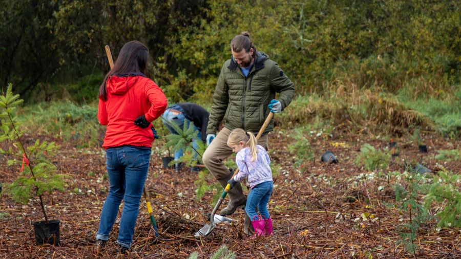 Photo: The Mountains to Sound Greenways Trust is hosting a tree-planting fundraiser....