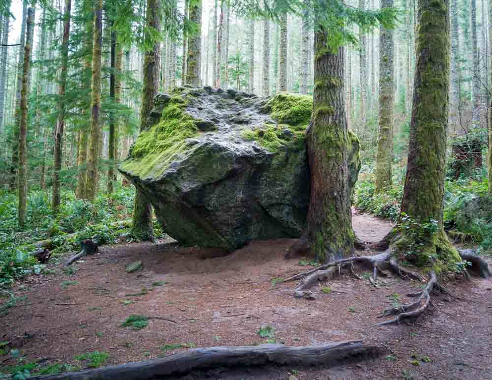 A trail in Rattlesnake Ridge in Washington