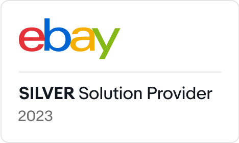 ebay logo silver solution