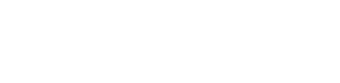 White Rising Team logo