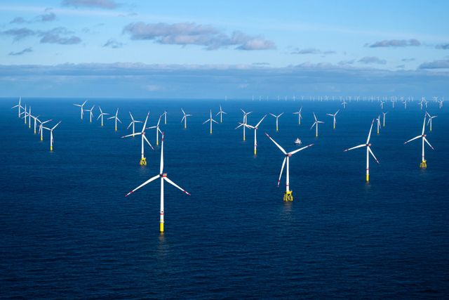 Windpark in der Nordsee: Immer mehr erneuerbare Energie