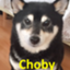 id:Choby