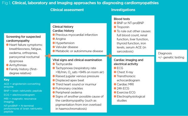 fig 1 clinical laboratory and imaging approaches