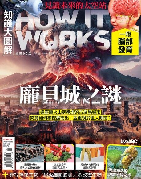 HOW IT WORKS知識大圖解國際中文版 01月號/2025 第124期