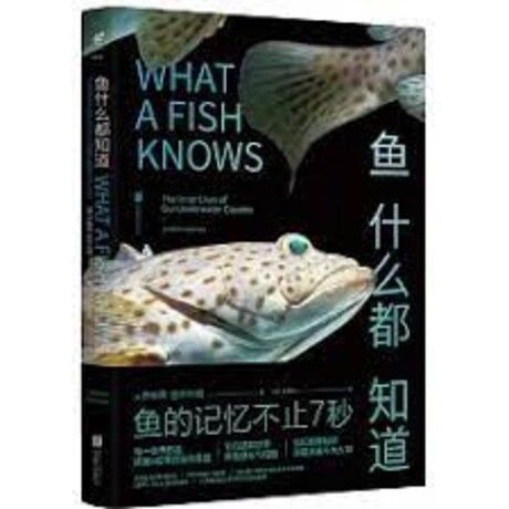 魚什麼都知道