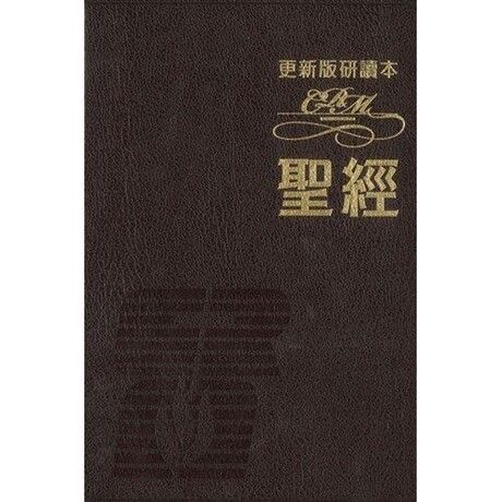 新國際版研讀本聖經(更新版)／NIV Study Bible (Deluxe Version)