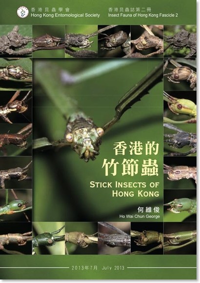 香港的竹節蟲 Stick Insects of Hong Kong