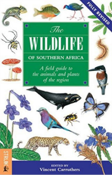 The Wildlife of Southern Africa