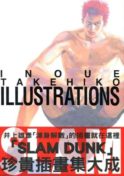 INOUE TAKEHIKO ILLUSTRATIONS 井上雄彥畫冊