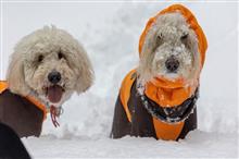 今シーズン初めての雪遊び(*^^*) 