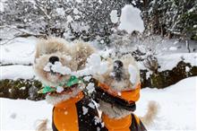 またまた雪遊び(*^^*) 