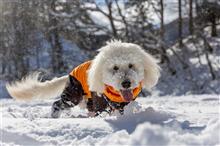 岐阜県で雪遊び(*^^*)　～荘川編～ 