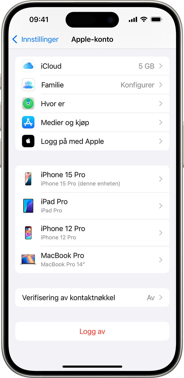 Logg av-knappen er nederst i Apple-kontoinnstillingene i iOS.