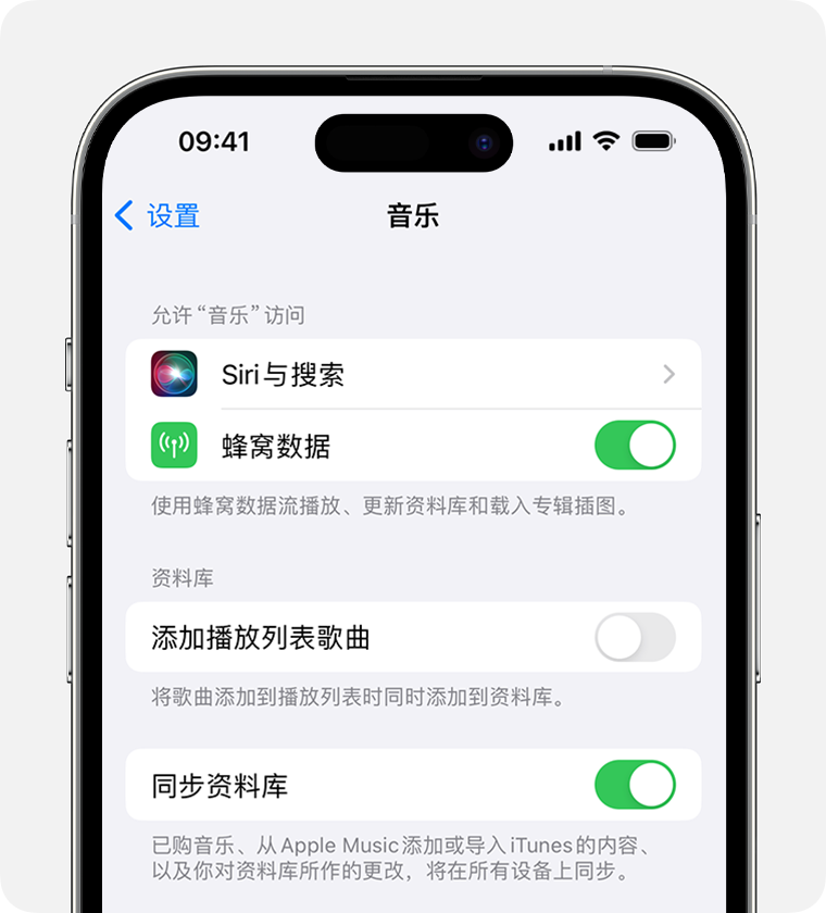 iPhone 的“音乐”设置中显示“同步资料库”已打开。