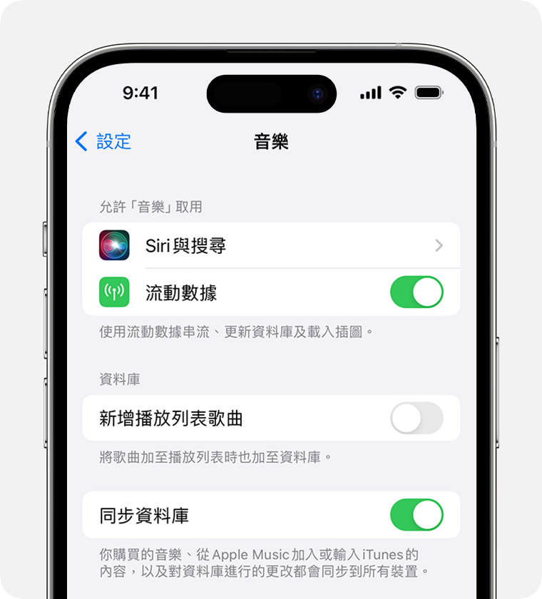 iPhone 在「音樂」設定中顯示「同步資料庫」已開啟。