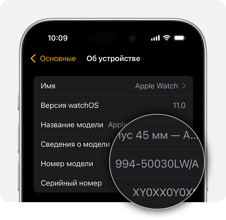 Экран iPhone, показывающий основные настройки Apple Watch