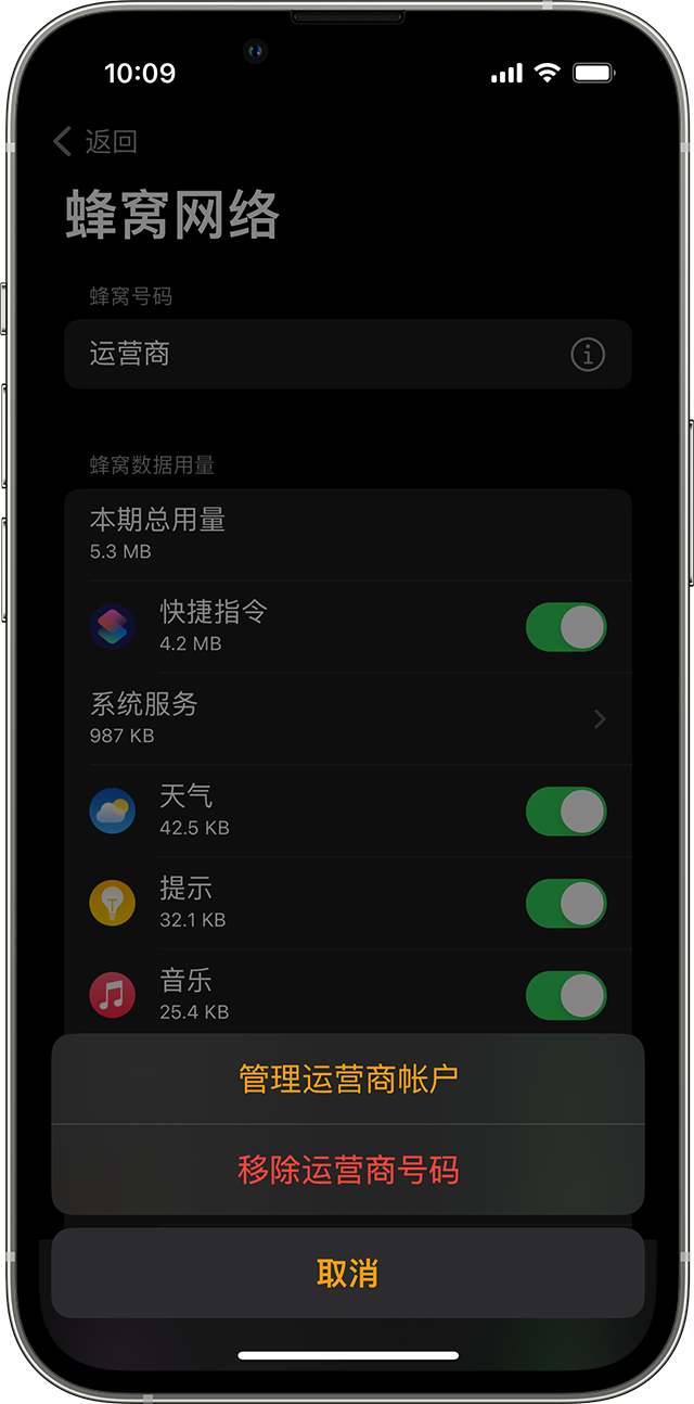 iPhone 显示了 Watch App 中的“蜂窝网络”屏幕