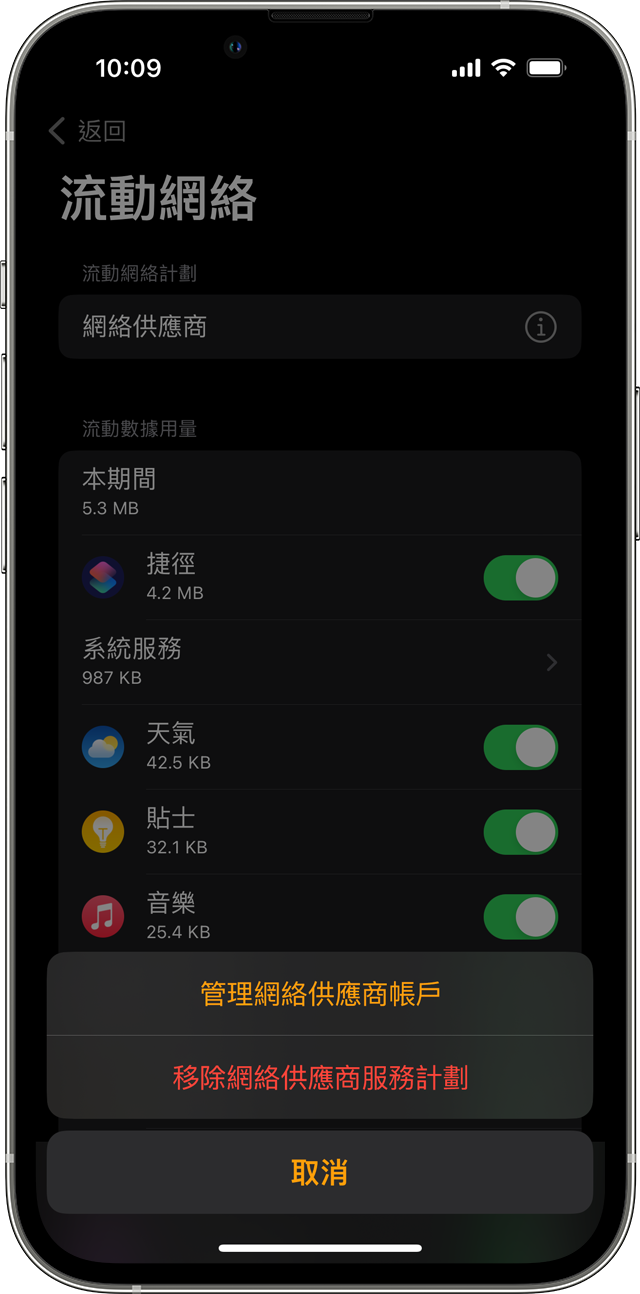 iPhone 在 Watch app 中正顯示「流動網絡」畫面