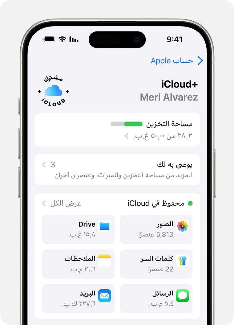 شاشة iPhone تعرض إعدادات iCloud. "عرض الكل" بجوار "المحفوظ في iCloud".