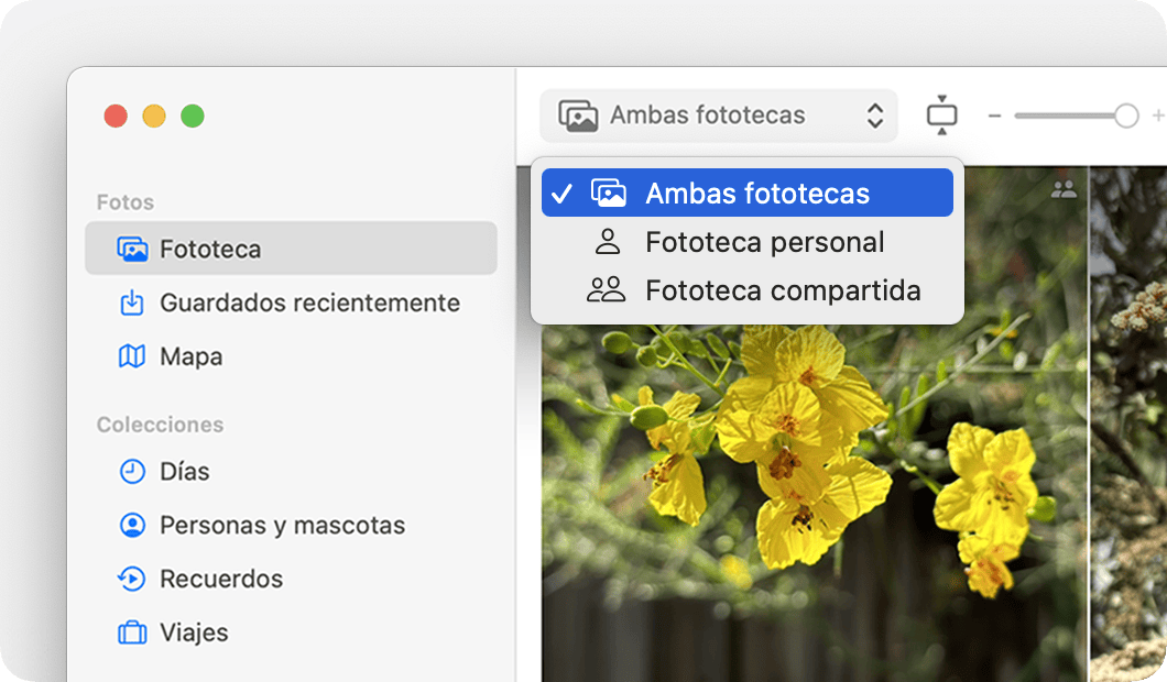 Pantalla del Mac que muestra que puedes alternar entre las opciones Ambas fototecas, Fototeca personal y Fototeca compartida. 