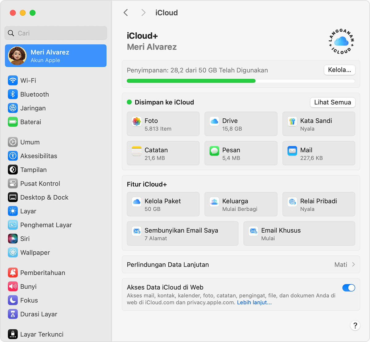 Di pengaturan iCloud di macOS, Drive terletak di bagian Disimpan ke iCloud.