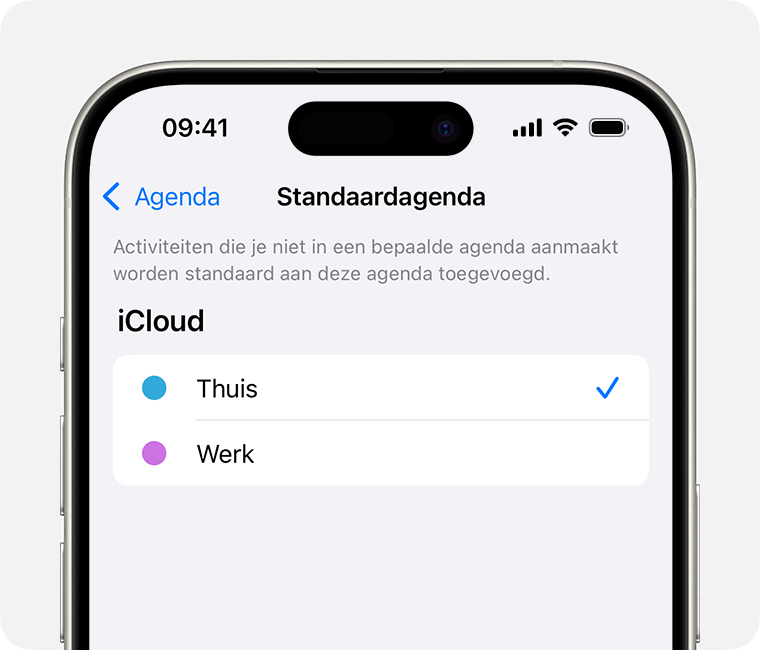 Een iPhone-scherm met 'Privé' geselecteerd als standaardagenda.