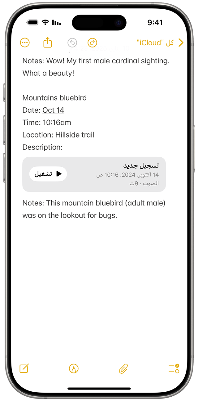 عند تسجيل الصوت في "الملاحظات" في iOS 18، سيظهر التسجيل كمرفق داخل ملاحظتك المفتوحة.