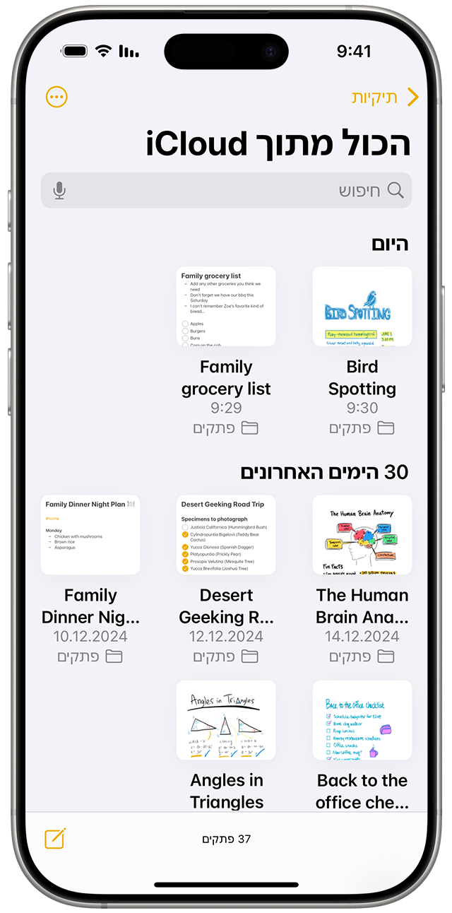 התצוגה 'גלריה' ב'פתקים' ב-iOS 18.