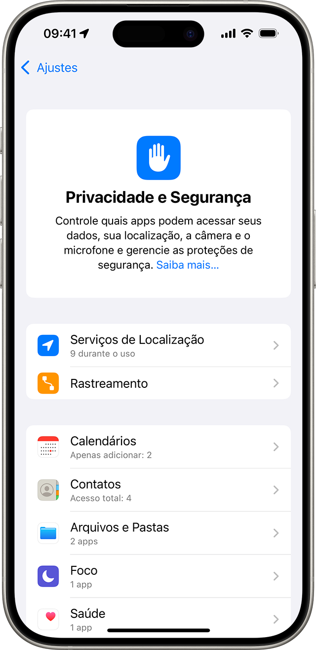 Tela do ajuste "Privacidade e Segurança" no iPhone