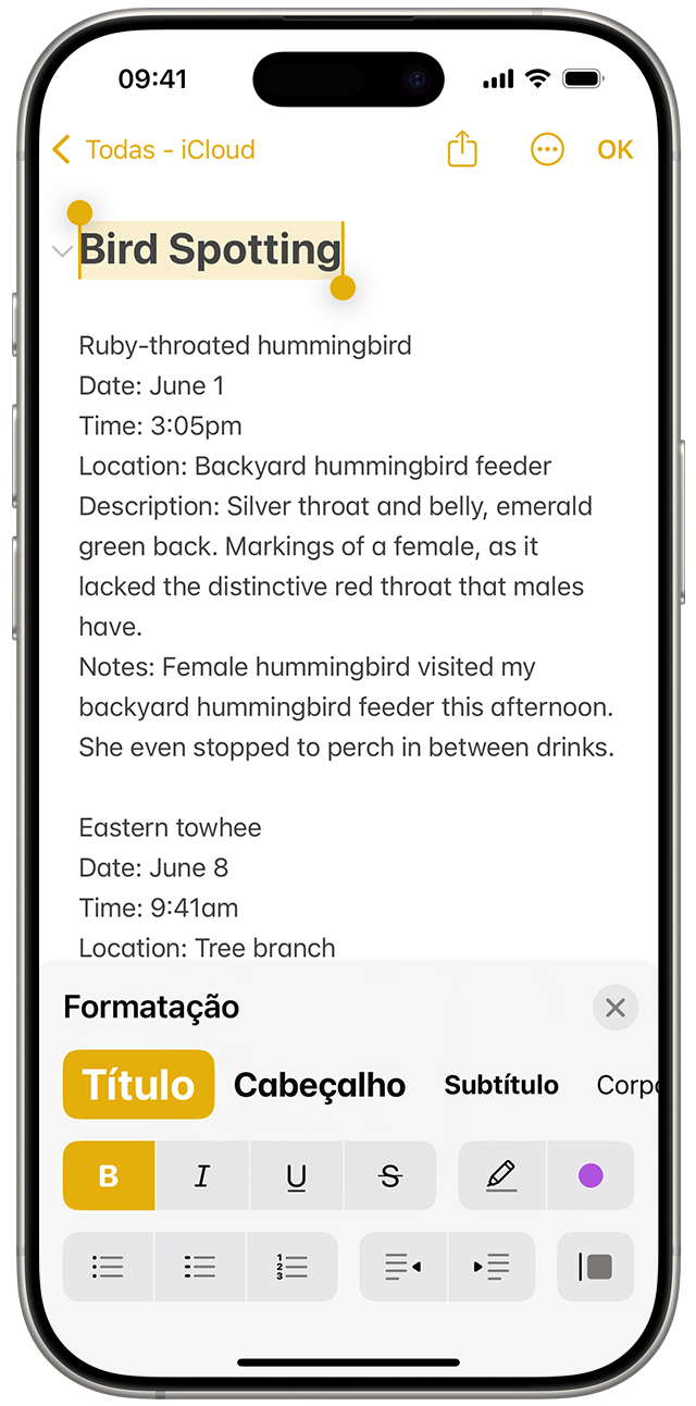 Nas Notas no iOS 18, destaque o texto e, em seguida, toque no botão Formatação para revelar opções como itálico ou estilos de título.