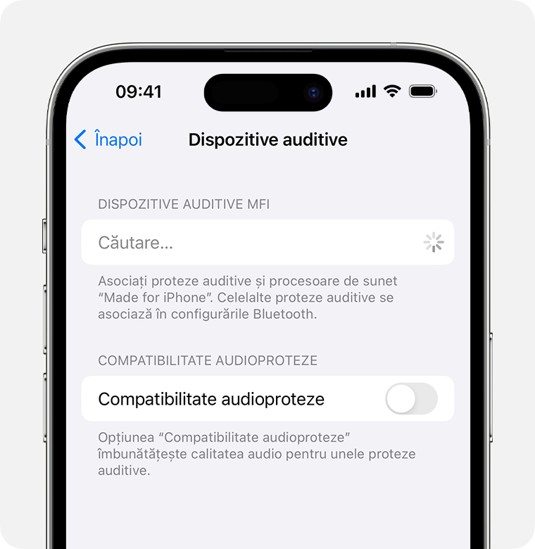 Configurările Dispozitive auditive atunci când cauți dispozitive auditive MFi