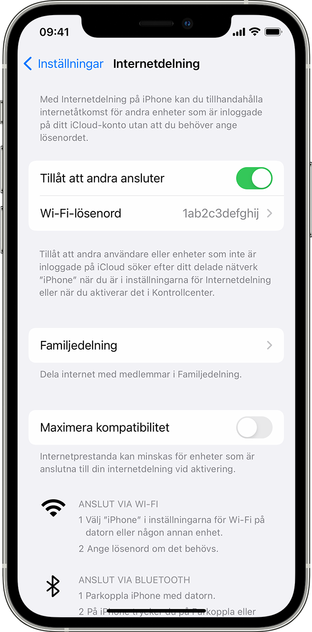 iPhone-skärm som visar fältet Internetdelning.