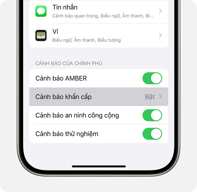 Khi chọn Cảnh báo khẩn cấp, bạn sẽ thấy các tùy chọn bổ sung về cách mà bạn nhận được cảnh báo.